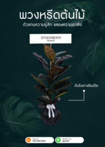 Sitemap แผนผังเว็บไซต์ StyleWreath.com สไตล์หรีด บริการพวงหรีด ดอกไม้จัดงานศพ ครบวงจร 25 พวงหรีดต้นใบยางอินเดีย ไม่มีกระถาง