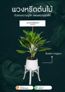 พวงหรีดต้นไม้ ต้นหยก กาญจนา กระถางขาว