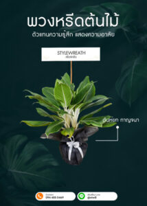 พวงหรีดต้นไม้ ต้นหยกกาญจนา แบบไม่มีกระถาง