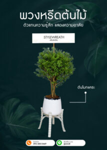 พวงหรีดต้นไม้ ต้นโมกแคระ 02