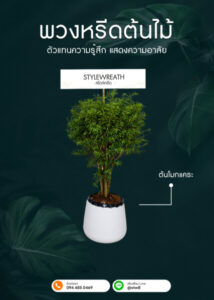 พวงหรีดต้นไม้ ต้นโมกแคระ กระถางขาว