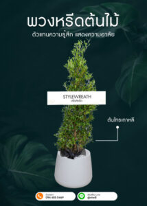 Sitemap แผนผังเว็บไซต์ StyleWreath.com สไตล์หรีด บริการพวงหรีด ดอกไม้จัดงานศพ ครบวงจร 11 พวงหรีดต้นไม้ ต้นไทรเกาหลี กระถางขาว