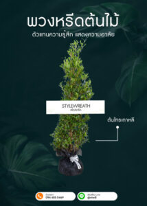 Sitemap แผนผังเว็บไซต์ StyleWreath.com สไตล์หรีด บริการพวงหรีด ดอกไม้จัดงานศพ ครบวงจร 20 พวงหรีดต้นไม้ ต้นไทรเกาหลีไม่มีกระถาง