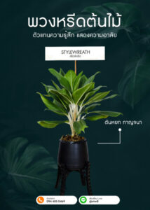 Sitemap แผนผังเว็บไซต์ StyleWreath.com สไตล์หรีด บริการพวงหรีด ดอกไม้จัดงานศพ ครบวงจร 12 พวงหรีดต้นไม้ต้นหยก กาญจนา