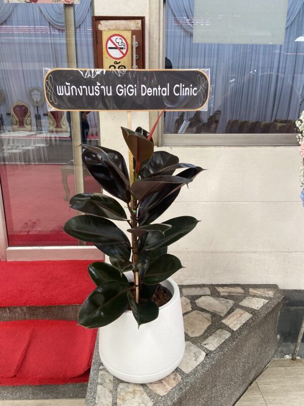 พวงหรีดวัดเสมียนนารี ศาลา5 rotated